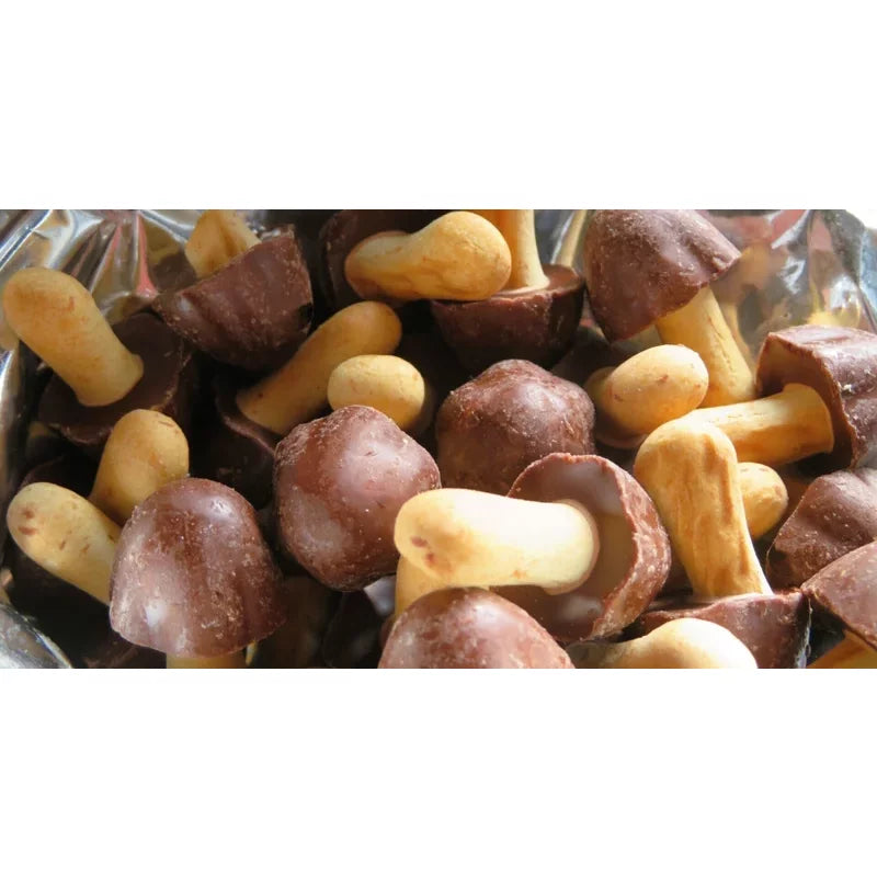 Meiji Kinoko No Yama Mushroom Shaped Chocolate Biscuit (Pack of 10)