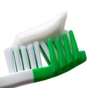 Kao Clear Clean Nexdent Toothpaste Pure Mint 120g (Pack of 3)