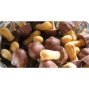 Meiji Kinoko No Yama Mushroom Shaped Chocolate Biscuit (Pack of 10)